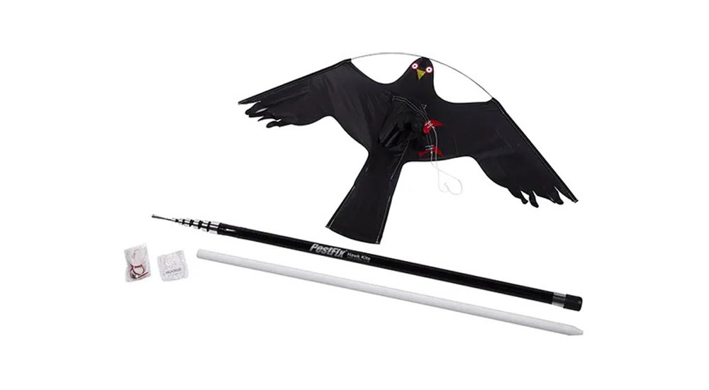 Hawk Kites - product image